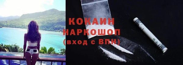 прущие грибы Баксан